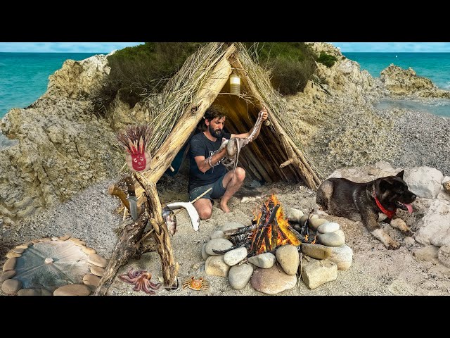 7 DAYS solo survival (NO FOOD, NO WATER, NO SHELTER) OCTOPUS, Catch and Cook. Bushcraft Camping