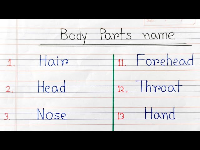 Human body parts name | How to know body parts Name | Body parts name for school project
