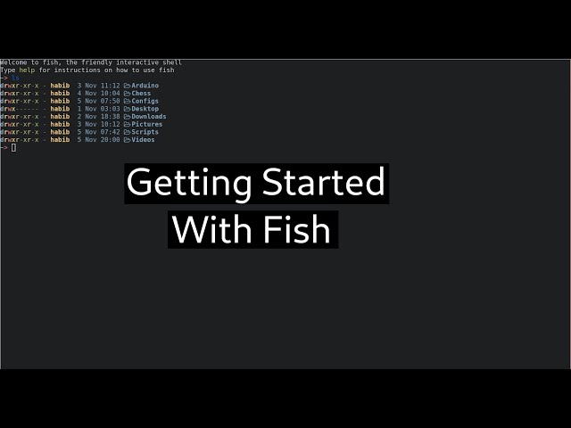 Getting Started With Fish: A Modern Alternative to Bash