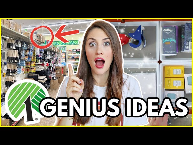 ORGANIZATION GEMS FROM THE DOLLAR TREE 🤩 (hacks and hidden finds you need to see!)