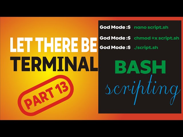 Linux bash terminal| bash scripting -part 13