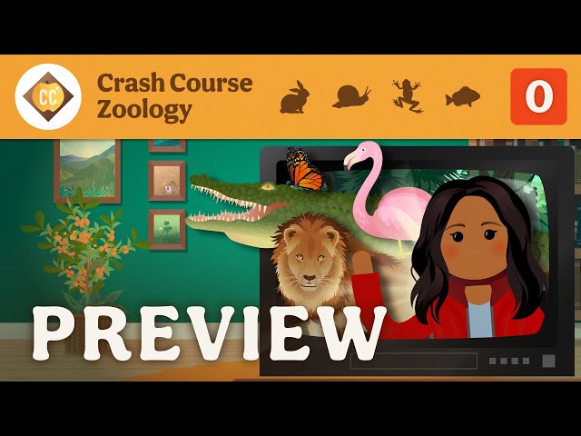 🦀 Crash Course Zoology Preview