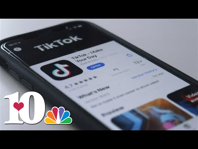 Potential TikTok ban affects more than just content creators, experts warn