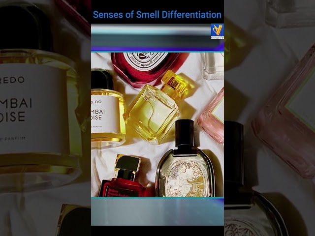 Differentiation of Smells | Research Methods in Education | VU | Shorts