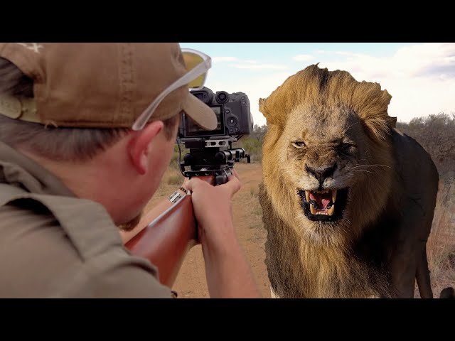 Photo Hunting Lion  | The Big 5 Photo Hunting Series - EP 03