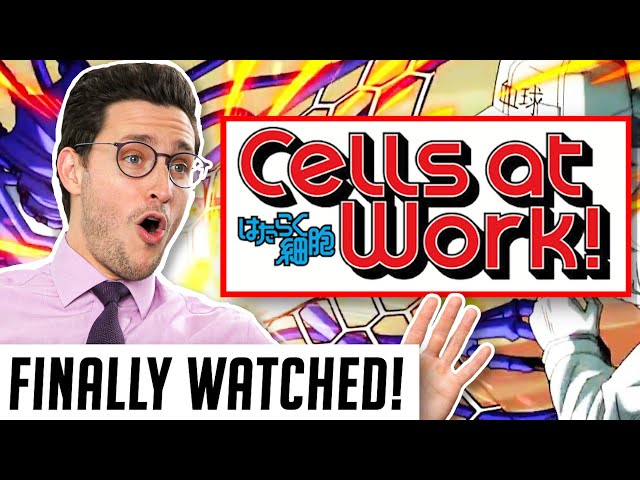 Real Doctor Reacts to CELLS AT WORK (Hataraku Saibō)