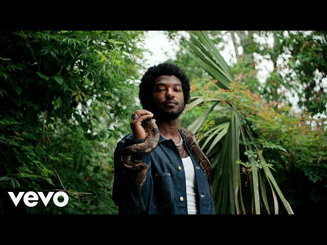 Willie Jones - Down by the Riverside (Official Video)