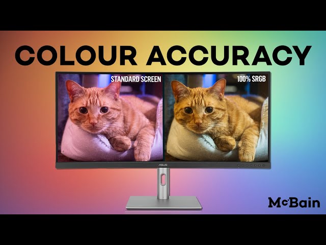 What Makes a Monitor BETTER for Photography?
