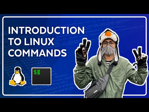 Introduction to Linux & Terminal Commands - Full Course for Beginners