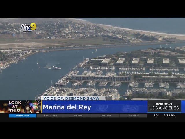 Look At This: Marina del Rey