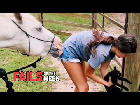 Animals Gone Wild! | Fails Of The Week