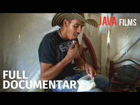 Discover: SOUTH & CENTRAL AMERICA | Java Clips & Documentaries