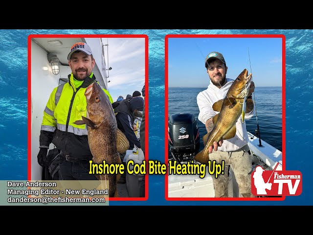 November 9th 2023 New England Video Fishing Forecast with Dave Anderson