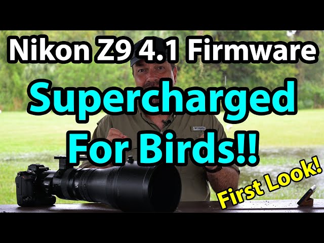 Nikon Z9 4.10 Firmware: Supercharged For Birds!