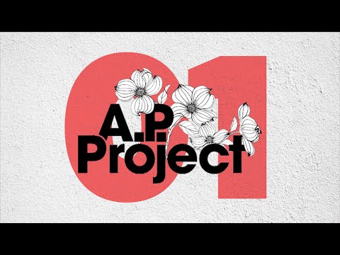 A.P. Project | Live At Mountain Run