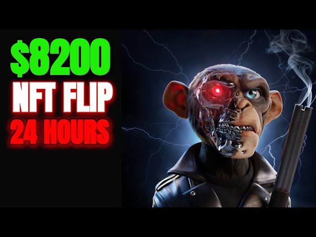 HOW TO MAKE MONEY WITH NFTS FLIPPING QUALITY PROJECTS FAST [Prime Ape Planet Collection]