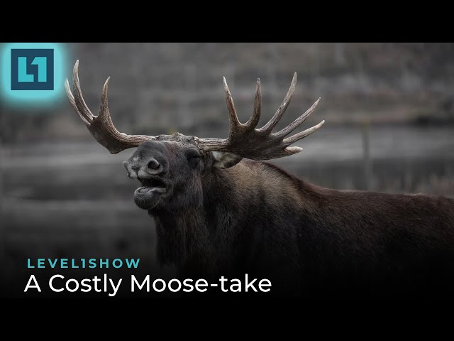 The Level1 Show March 15 2024: A Costly Moose-take