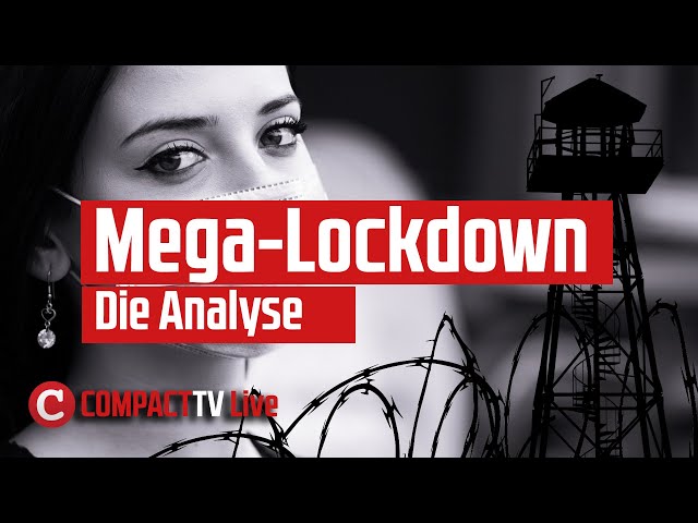 Mega-Lockdown: Die Analyse