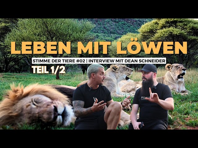 Leben mit Löwen! 🦁 Dean Schneider im Interview (Teil 1)