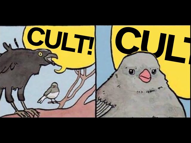 What is a Cult?