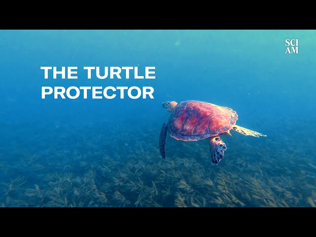 Go Inside an Anti-Poaching Unit in Kenya to See How They Protect Sea Turtles