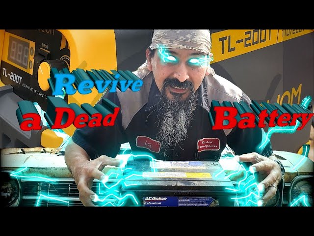Revive a Dead Battery (with a welder)