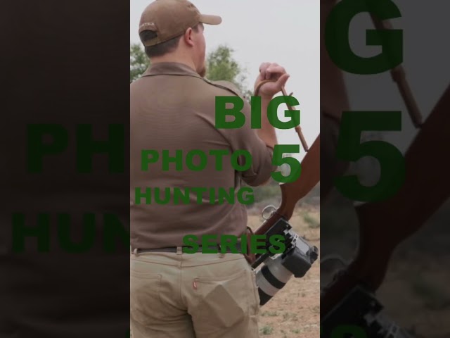 Let’s go Photo Hunt the BIG 5!! #big5hunting #wildlifephotography #big5safari