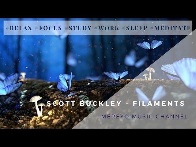 Scott Buckley | Filaments ( Mereyo extended remix)