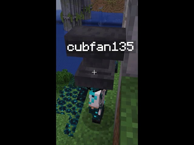Empires SMP BLOOPERS: Curing Cubfan ▫ Pixlriffs Shorts