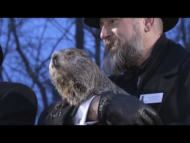 Groundhog Day 2024 Prediction: Punxsutawney Phil does NOT see his shadow