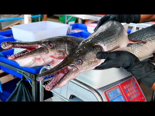 Thai Food - RIVER MONSTER Alligator Gar Barbecue Bangkok Seafood Thailand