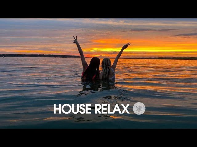 House Relax 2023 (Chill Lounge Deep Mix 221)