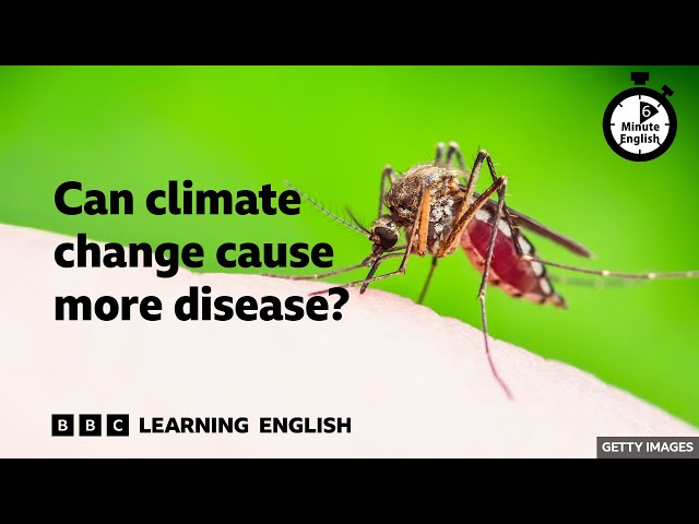 Can climate change cause more disease? ⏲️ 6 Minute English