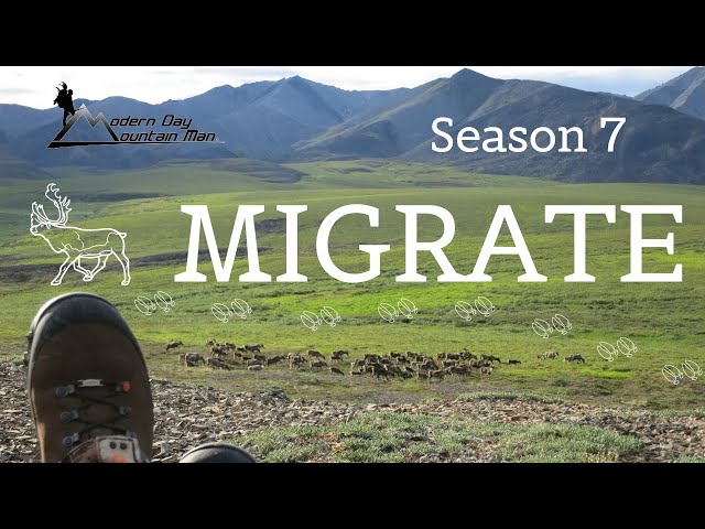 MIGRATE | Alaskan Caribou Hunting Adventure - Season 7
