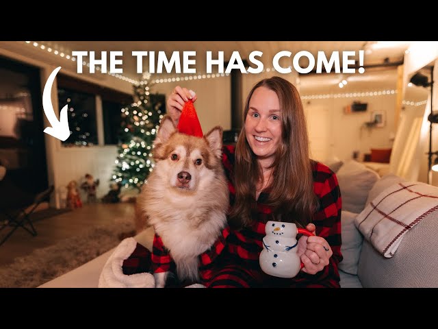 Making our cabin the ULTIMATE cosy and hygge place in December | Svalbard Vlogmas #2