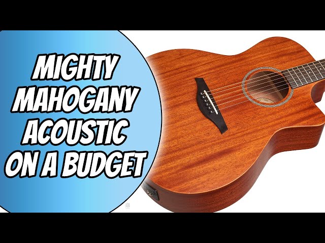 JHS Vintage VE900MH Acoustic Guitar Review