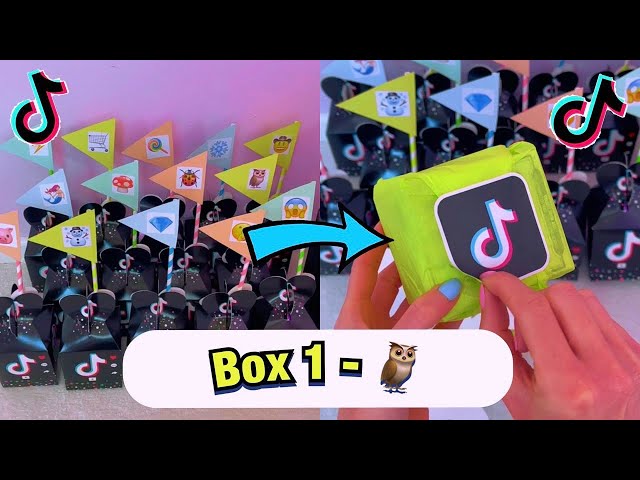 TikTok Mystery Boxes - BOX 1!🦉#asmr #Shorts