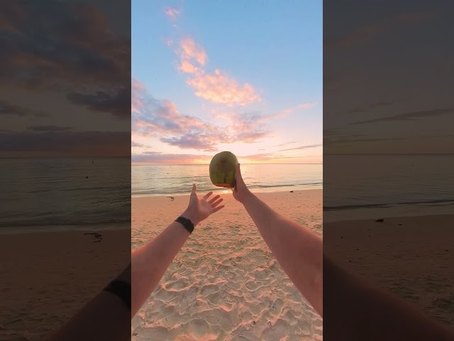 Coconut catch 🥥🌴  #insta360x3 #pointofview #shorts