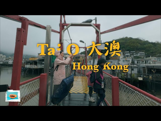 Hong Kong Vlog | Tai O 大澳 | Boat tour | Fu Shan view point 虎山 | DJI OSMO ACTION 4 | Country side