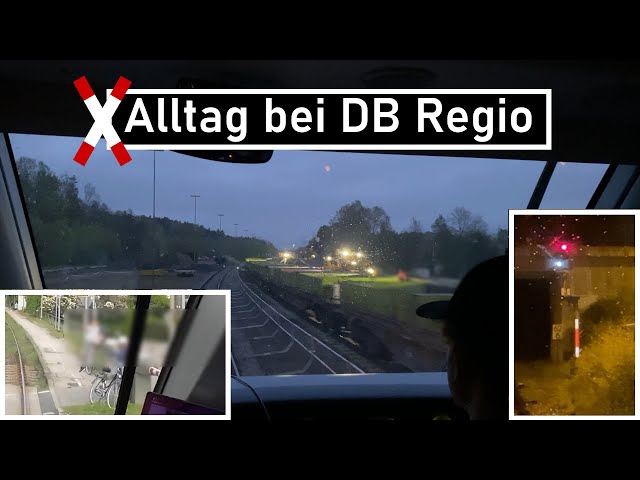 Sonstiger Alltag bei DB Regio #19 | Bauarbeiten, Personen, die den Zugverkehr stören und Fundsachen