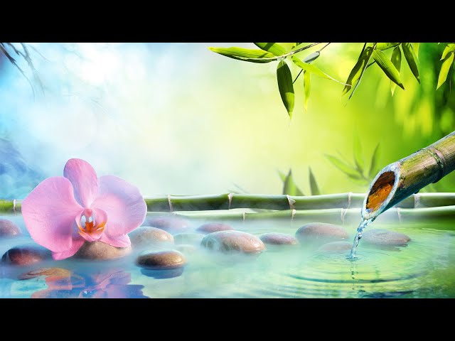 🎵 BAMBOO WATER FOUNTAIN & Relaxing Piano Music for Stress Relief, healing Music, Meditation Music