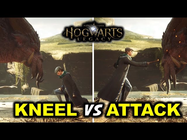 Kneel vs Attack Graphorn | Hogwarts Legacy