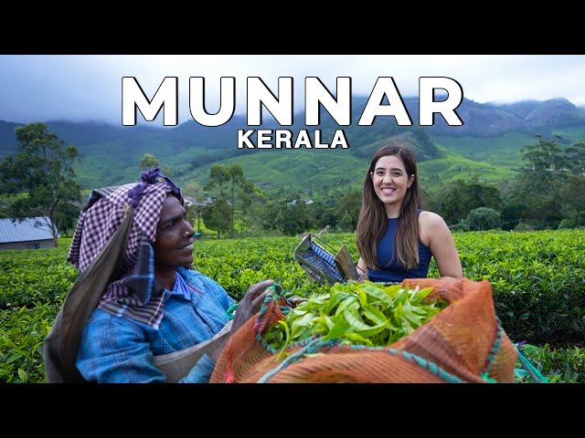 Munnar, Suryanelli Kerala in the Monsoon! The best vlog I've ever made | #WeekendTrips India