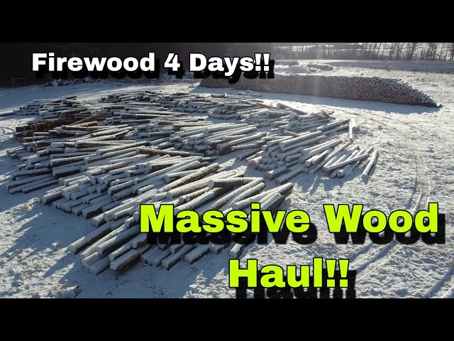 Biggest Wood Haul!!! So Much Free Firewood!!