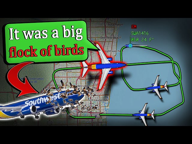 BIRD STRIKE + AIRCRAFT DAMAGE | Emergency Return to Fort Lauderdale