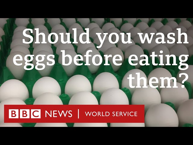 How do you like your eggs in the morning? CrowdScience podcast, BBC World Service