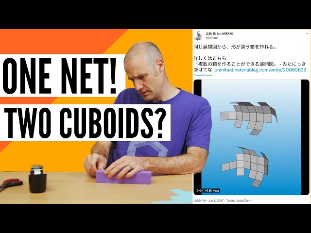 Can the Same Net Fold into Two Shapes?