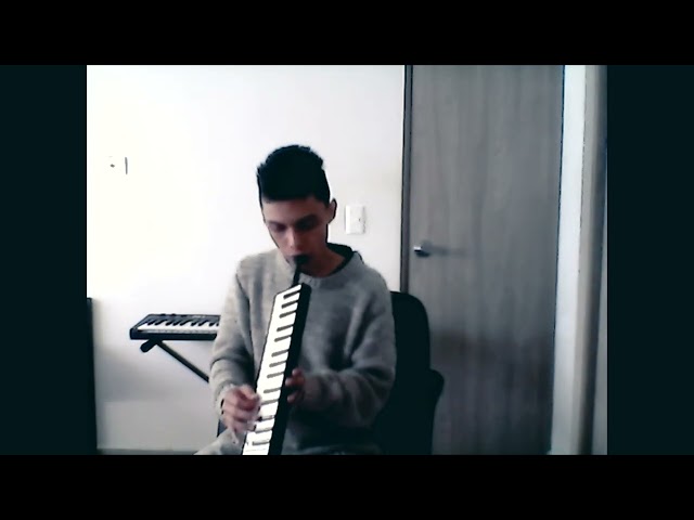 Roots, Rock, Reggae - Bob Marley (cover melodica)