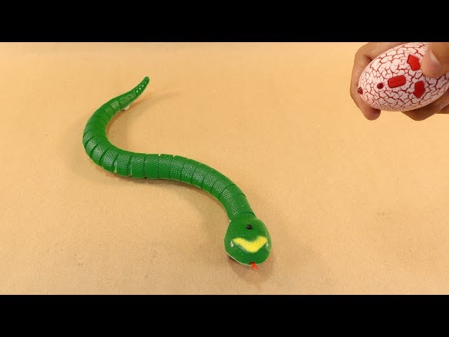 Remote Control SNAKE | RC Snake UNBOXING and PRANK!!