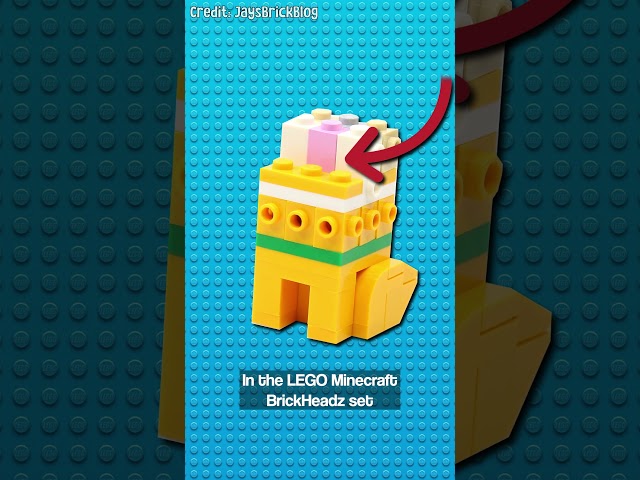 The LEGO Secret You Didn't Know...